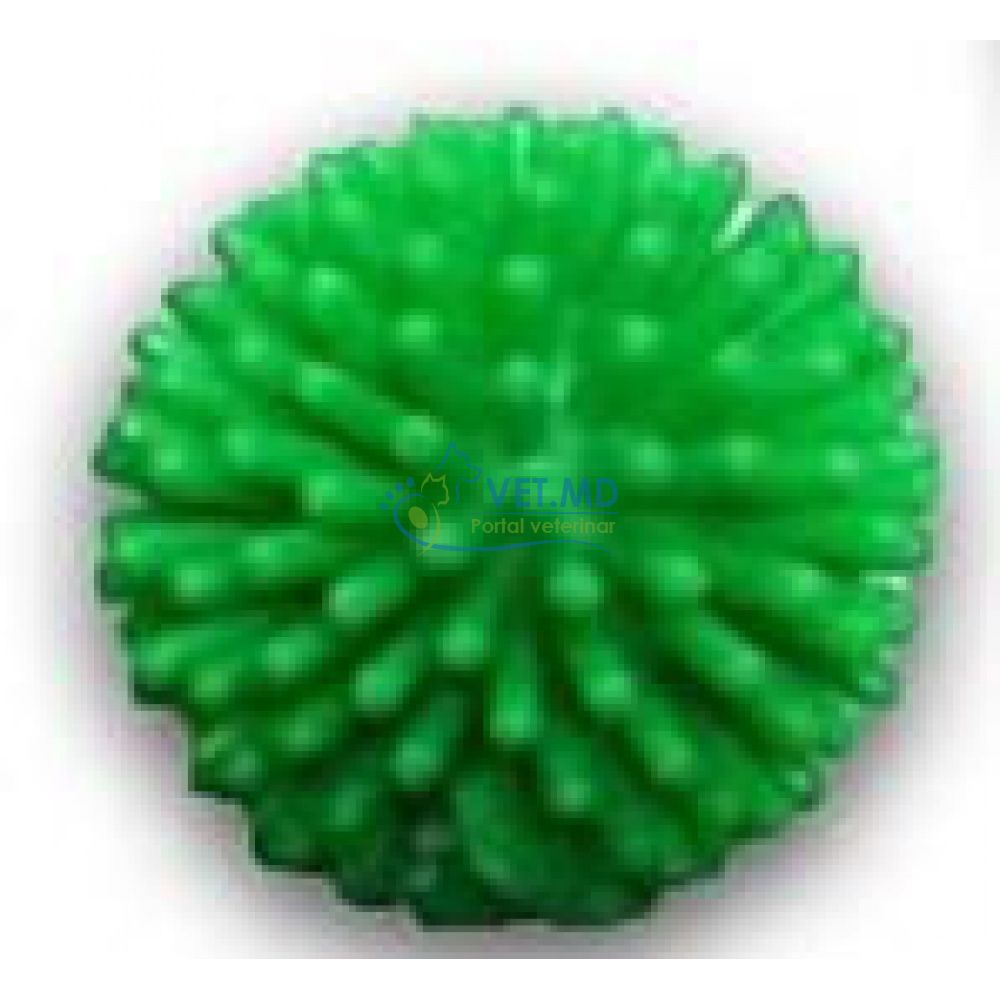 Shurshil Colorat 3,6cm